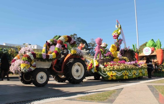 Automobiles decorated with flowers at Da Lat Flower Festival