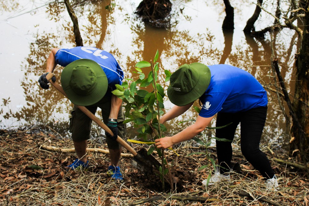 Volunteers join in the reforestation activities in Lang Sen -Photo: WWF