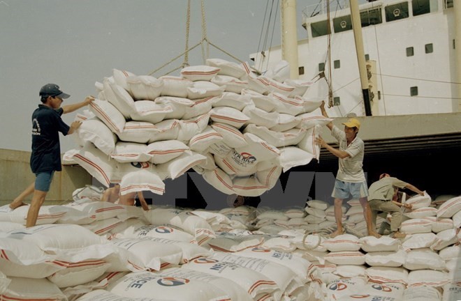 Rice loading at Sai Gon Port in HCM City. (Photo: VNA)