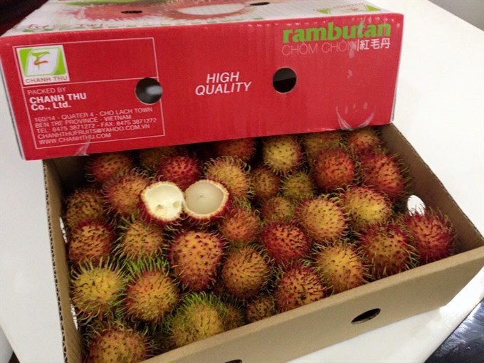 Việt Nam are set to begin exporting rambutans to New Zealand after years of trade negotiations between the two countries.— Photo gocom.vn 