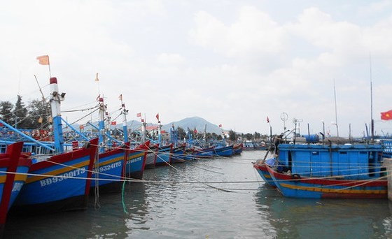 The province Quang Ninh to Binh Dinh should call on offshore vessels moving out of the dangerous zone Photo: SGGP