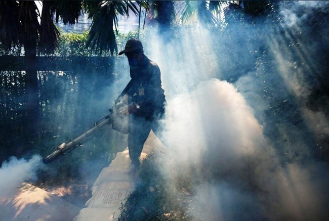About 500 dengue fever cases have been recorded in northeastern Thailand by June 5. (Source: Reuters)