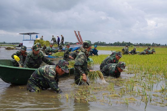 Rains hit south, Mekong region’s lowland areas experience flooding