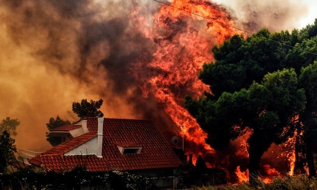 At least 20 dead in Greek wildfires 