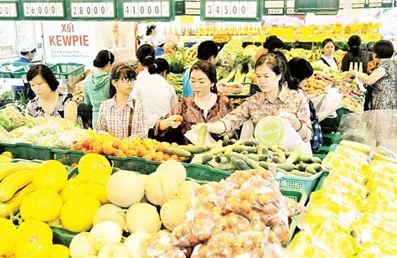Safe farm product cooperative will provide clean agricultural products to consumers Photo: SGGP