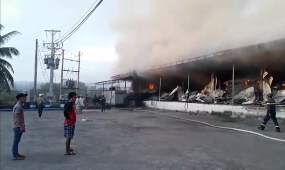 Fire destroys hundreds of tons of dragon fruit in Binh Thuan