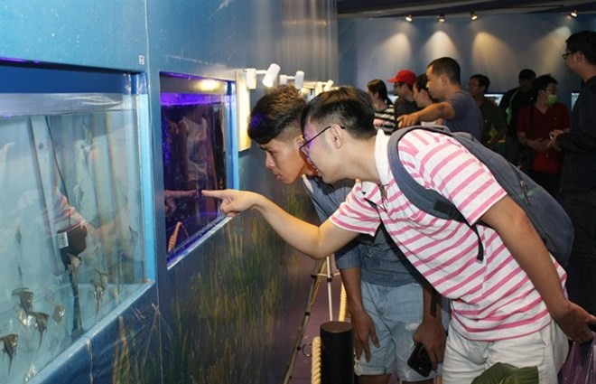 Visitors browse ornamental fish at a fair held in HCM City. (Photo: VNA)