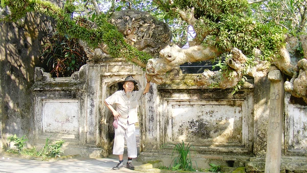 Cụ Phạm Hồng Nê bên cây đại cổ thụ trước đền thờ danh nhân Lý Thường Kiệt