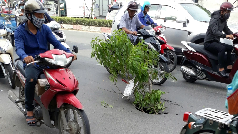 Để cảnh báo cho người đi đường, người dân đã dùng cành cây cắm xuống và báo chính quyền địa phương