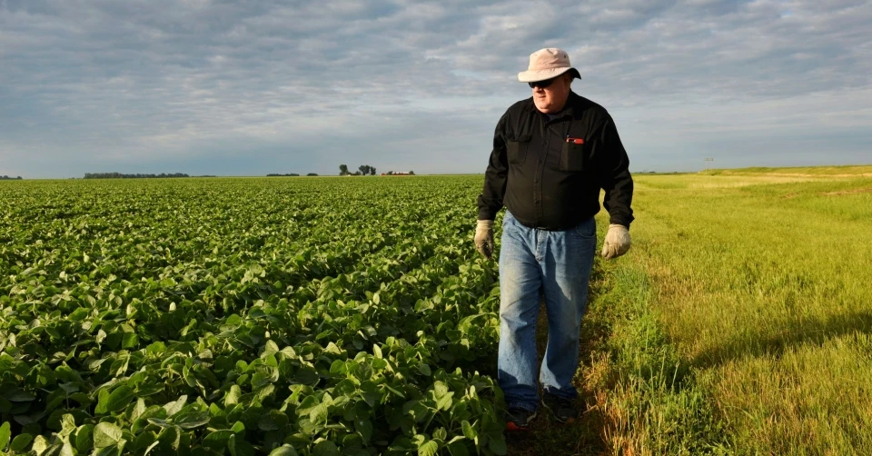 ​Mỹ công bố hỗ trợ 12 tỷ USD cho nông dân bị thiệt hại do các đòn trả đũa thương mại. Nguồn: EAST AUTO NEWS