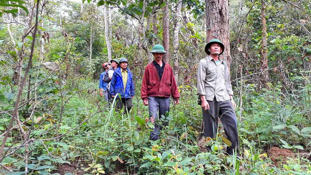 Các cựu chiến binh thôn Phú Danh trên đường tuần tra, bảo vệ rừng