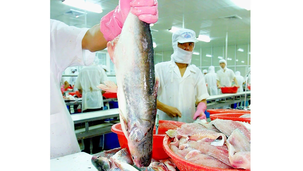 Thủy sản Việt Nam có lợi thế về xuất khẩu, sẽ mở ra thêm cơ hội khi tham gia các hiệp định FTA
