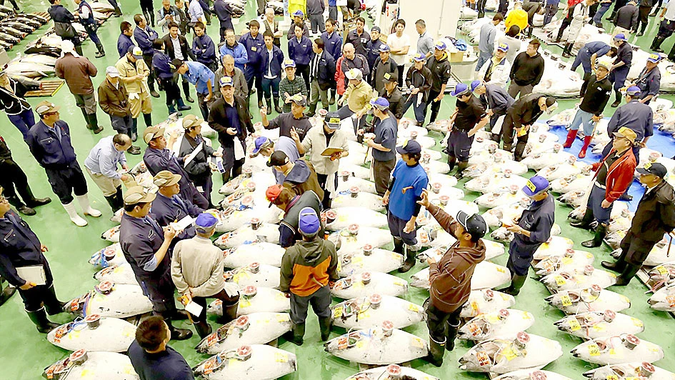 Chợ cá mới của Tokyo mở phiên đấu giá đầu tiên
