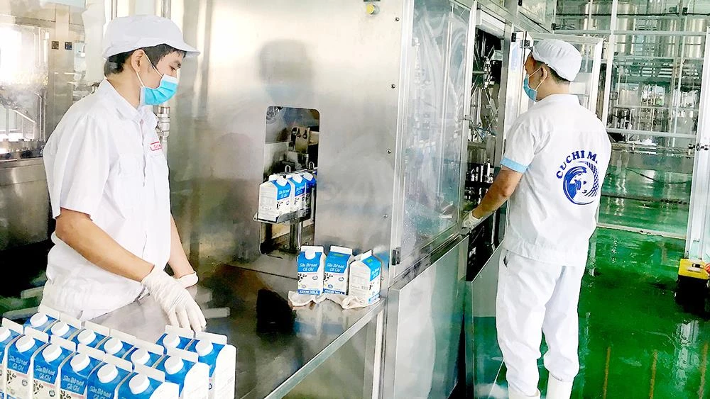 Liên minh HTX TPHCM hỗ trợ HTX bò sữa Tân Thông Hội mua sắm thiết bị và vật tư sản xuất