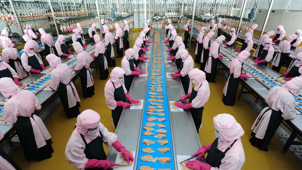 Công ty cổ phần Chăn nuôi CP Việt Nam vừa được Nga cấp phép xuất khẩu thịt gà chế biến sang nước này. Ảnh: THANH HẢI