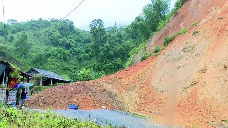 Ảnh minh họa: Nguồn TTXVN