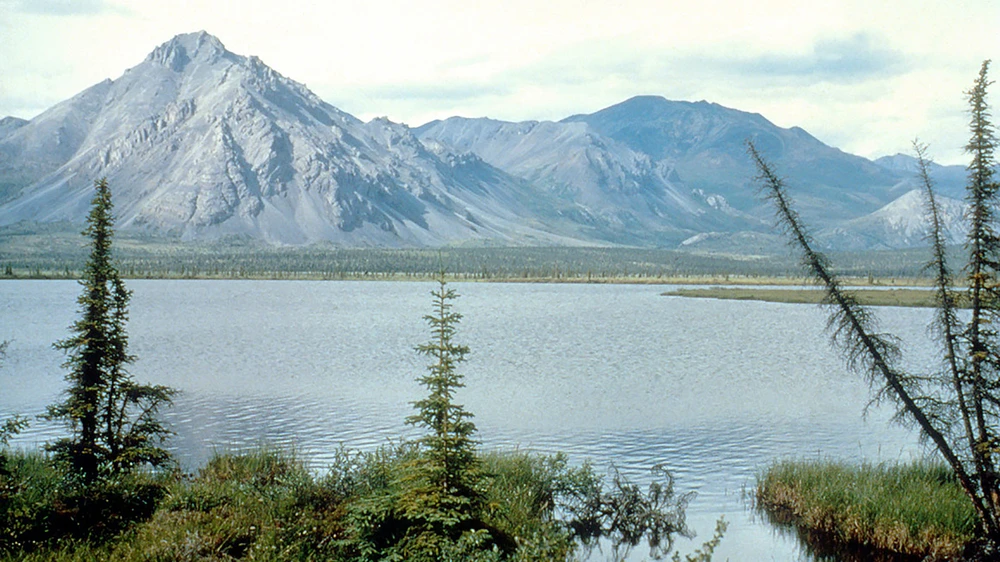 Một góc Khu bảo tồn động vật hoang dã quốc gia Bắc cực ở bang Alaska, Mỹ