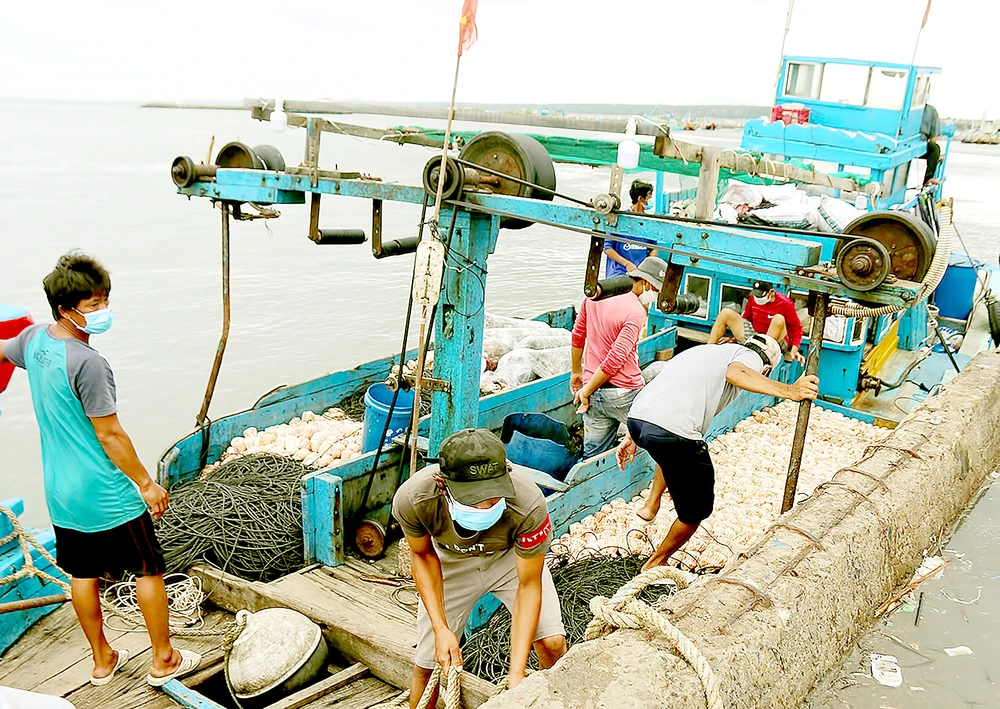 Ngư dân Bình Thuận hối hả chuẩn bị ngư cụ, nhu yếu phẩm để ra khơi đánh bắt hải sản vụ tết