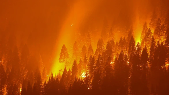 Cháy rừng nhìn từ thị trấn Taylorsville, California, Mỹ. Ảnh: Reuters