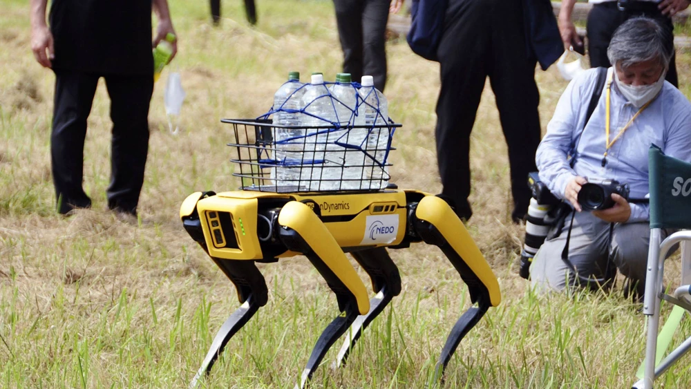Ngành lâm nghiệp của Nhật Bản tính chuyện sử dụng robot thay con người