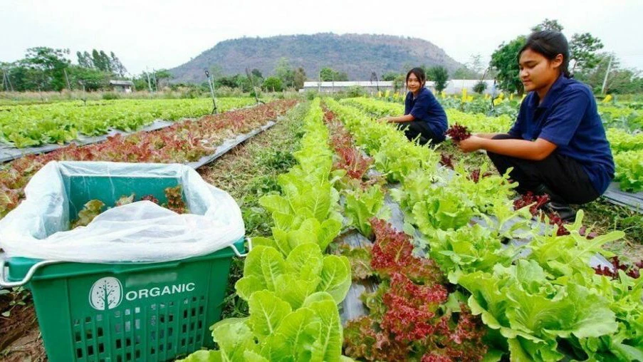 Một mô hình kinh tế BCG của Thái Lan. Ảnh: Thaiger