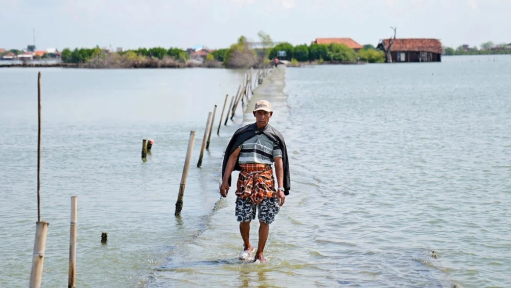 Đường bị ngập do mực nước biển dâng cao ở miền Trung Java, Indonesia. Ảnh: AP