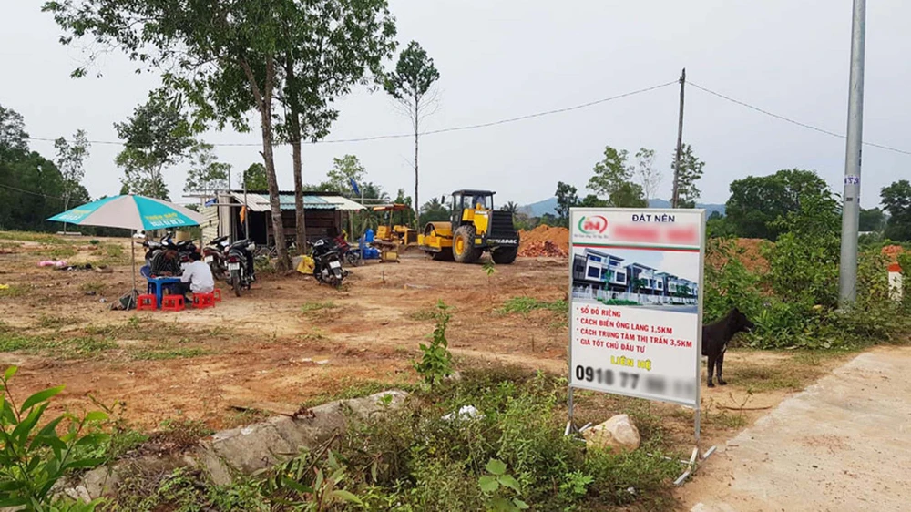 Đất rừng ở xã Gành Dầu (TP Phú Quốc) bị phân lô bán nền tràn lan vào cuối năm 2018. Ảnh: QUỐC BÌNH