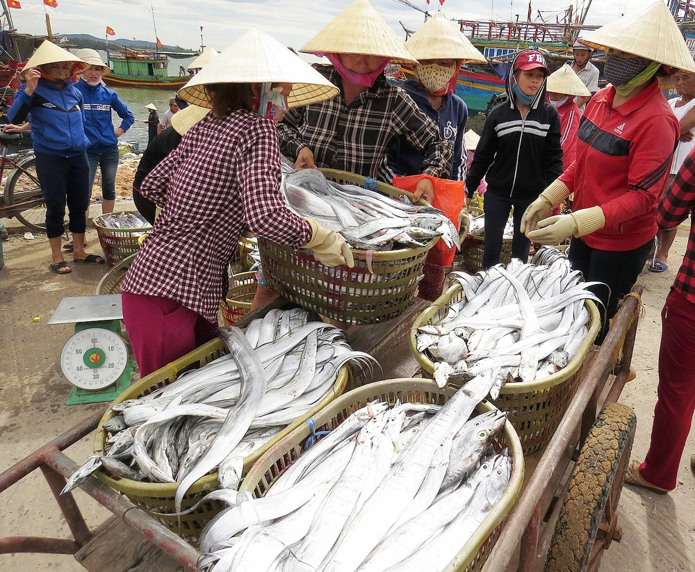 Nghề đánh bắt cá hố ở làng Cảnh Dương duy trì gần 400 năm qua