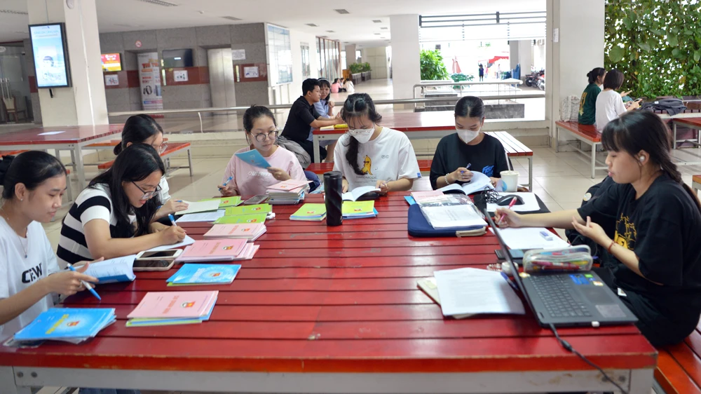 Tân sinh viên Khoa Giáo dục tiểu học, Trường Đại học Sư phạm TPHCM ôn bài tại trường (ảnh chụp chiều 5-10-2023). Ảnh: CAO THĂNG