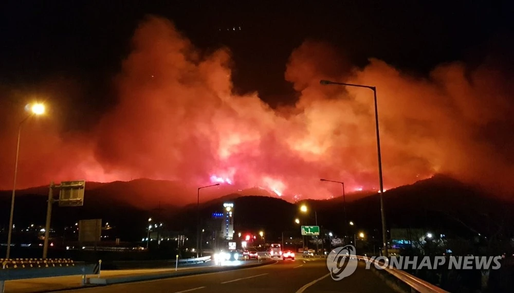 Ngọn lửa bao trùm vùng núi Gangneung ngày 5-4. YONHAP