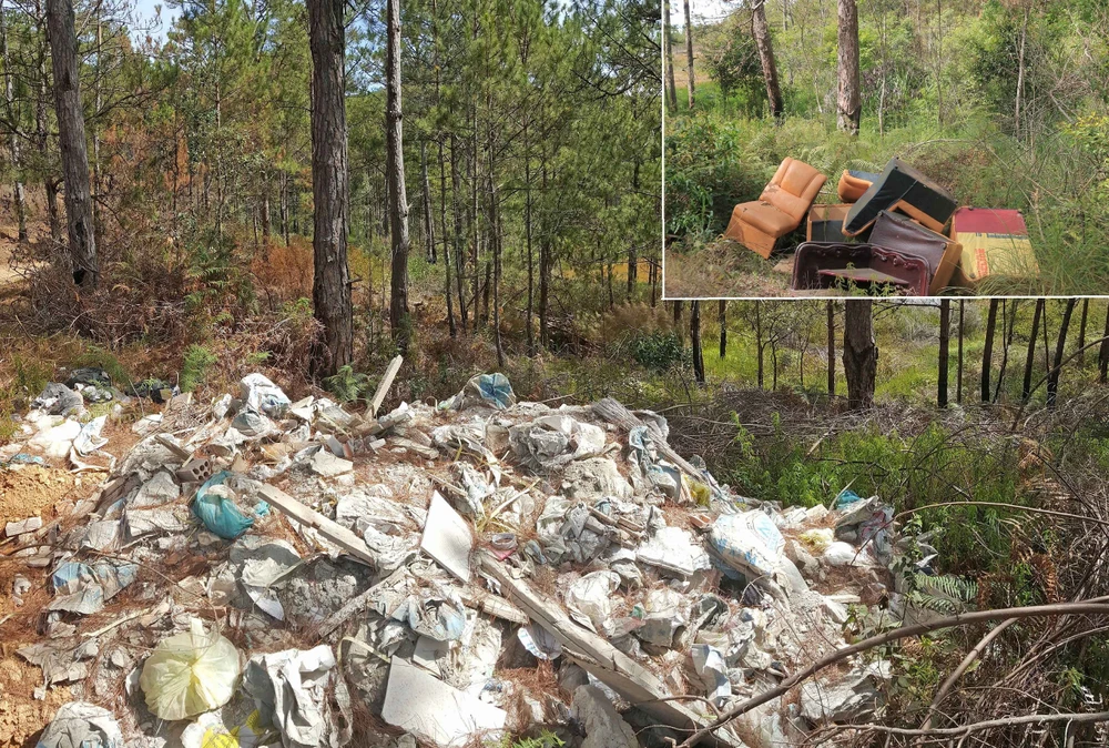 Rác thải đủ loại đổ trộm trong rừng thông ở Đà Lạt