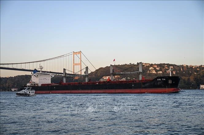 Tàu chở ngũ cốc Ukraine di chuyển qua eo biển Bosphorus để vào biển Marmara ở Istanbul, Thổ Nhĩ Kỳ, ngày 2-11-2022. Ảnh: AFP/TTXVN