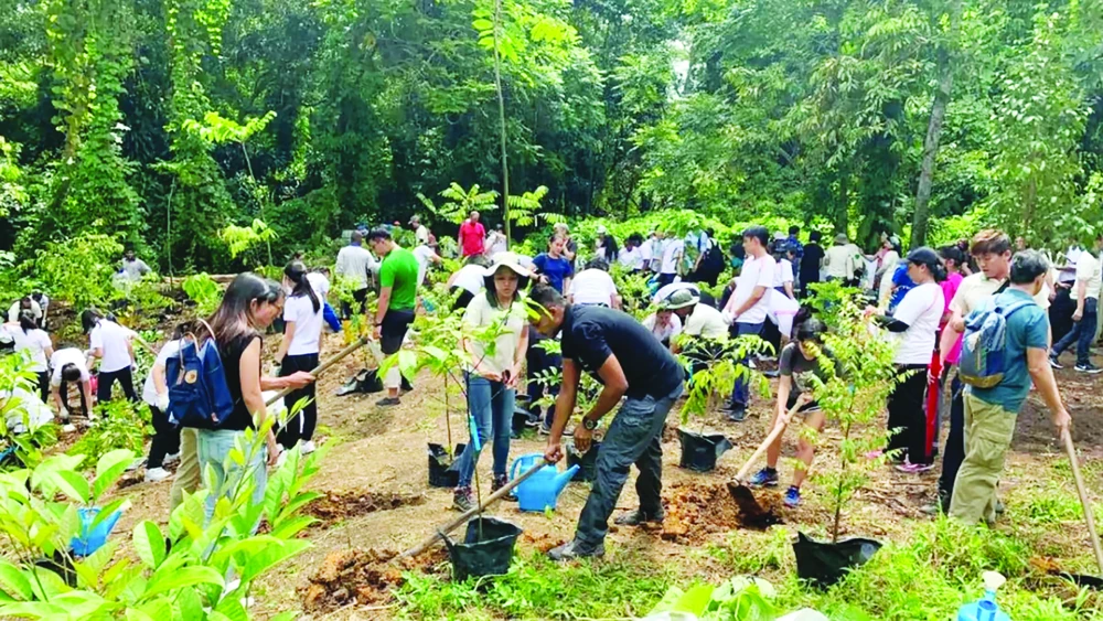 Đông đảo người dân tham gia phong trào OneMillionTrees ở Singapore