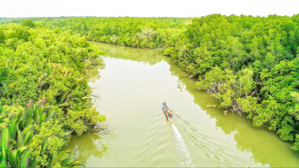 Khu dự trữ sinh quyển rừng ngập mặn Cần Giờ, huyện Cần Giờ, TPHCM. Ảnh: HOÀNG HÙNG