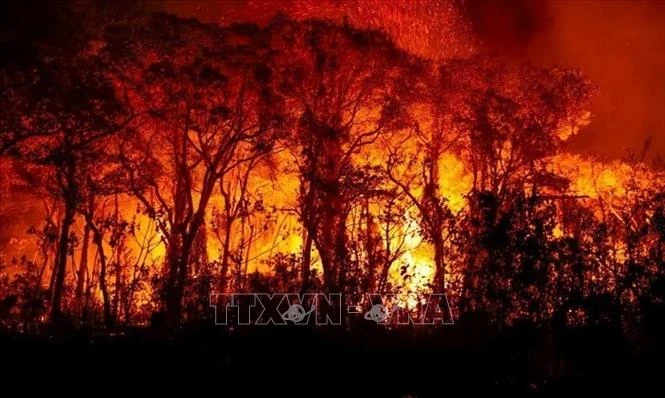 Khói lửa bốc lên từ đám cháy rừng ở bang Mato Grosso do Sul, Brazil. Ảnh: Agência Brasil/TTXVN