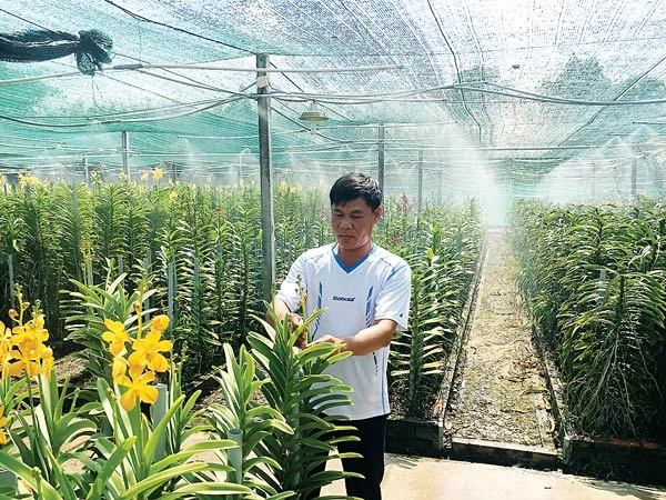 Nhờ mô hình tưới nước tự động, nông dân Tô Tấn Thành có thời gian nhàn rỗi để chăm sóc hoa