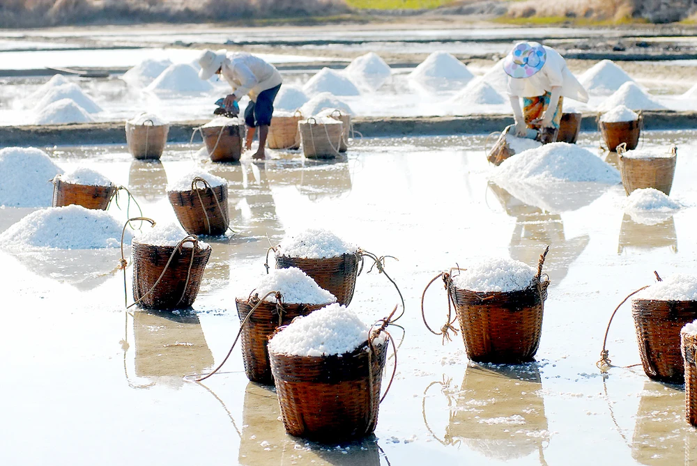 Diêm dân sản xuất muối tại Cần Giờ . Ảnh: THANH HẢI