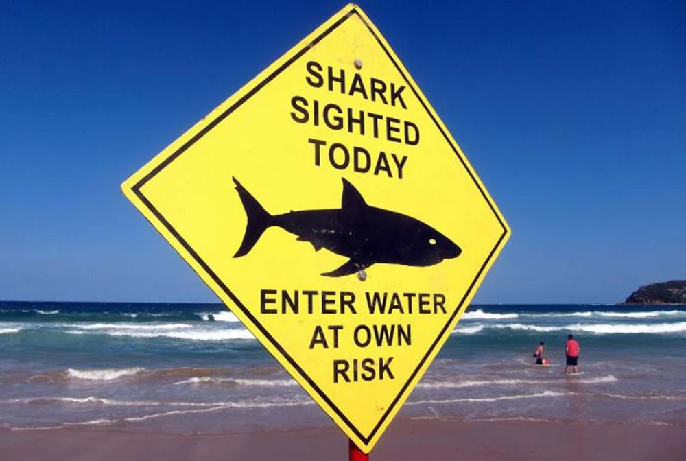 Dùng drone cảnh báo cá mập 