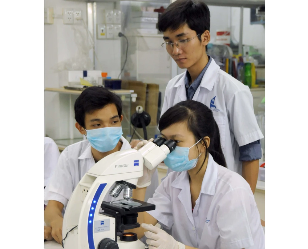 Sinh viên Trường Đại học Khoa học tự nhiện TPHCM thực tập trong phòng thí nghiệm tế bào gốc . Ảnh: MAI HẢI