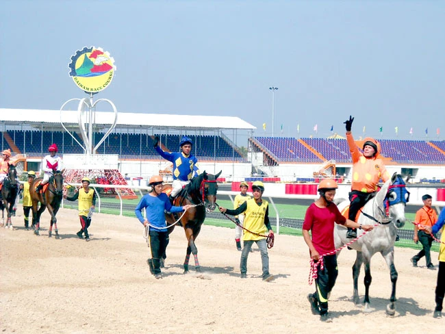 Ngựa chiến được dẫn ra trường đua Đại Nam.