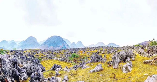 Cao nguyên đá Tủa Chùa - Điện Biên Cao nguyên đá Tủa Chùa - Điện Biên
