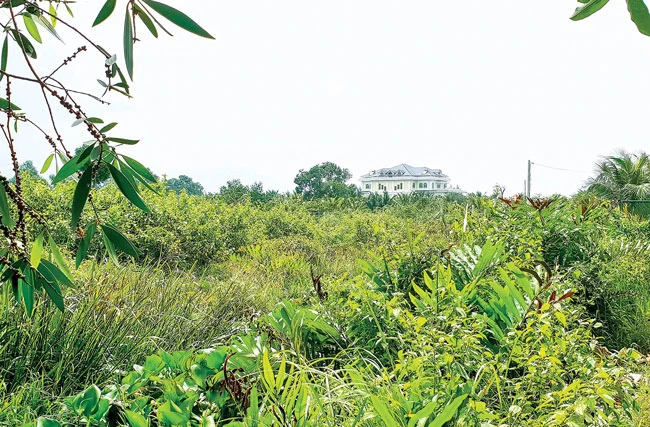 Đất nông nghiệp sinh thái vườn ở Long Phước, quận 9 được rao bán 7 triệu đồng/m2 được mua bán công khai đã xé nát quy hoạch chung. Ảnh: M. TUẤN