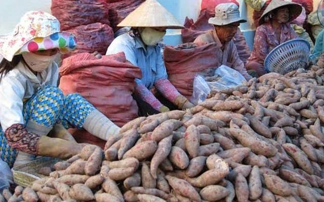 TPHCM sắp cấm nông sản chưa sơ chế nhập chợ