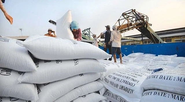 Tạm dừng ký hợp đồng mới xuất khẩu gạo