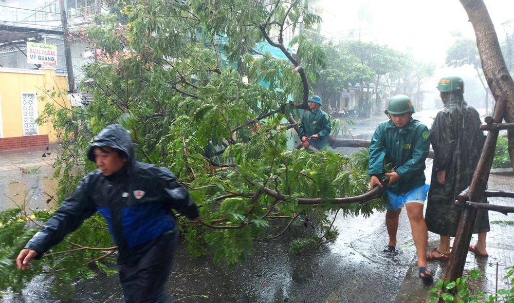 Dọn dẹp cây ngã đổ trên đường Trưng Nữ Vương, quận Hải Châu, TP Đà Nẵng. Ảnh: DƯƠNG QUANG