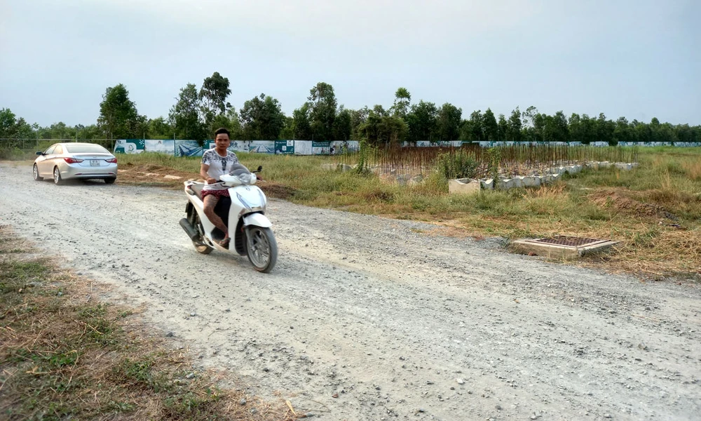 Một dự án đất nền ở xã Bình Lợi, huyện Bình Chánh