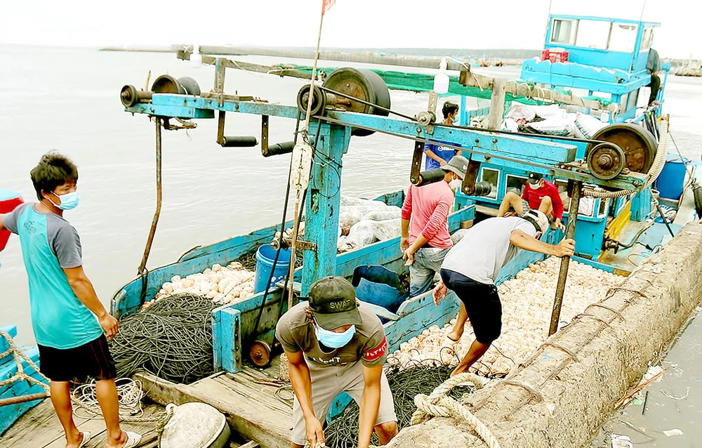 Ngư dân Bình Thuận hối hả chuẩn bị ngư cụ, nhu yếu phẩm để ra khơi đánh bắt hải sản vụ tết.