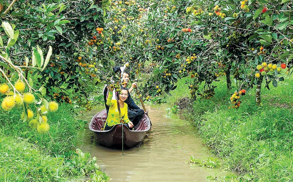 Du lịch sinh thái - thế mạnh của huyện Phong Điền.