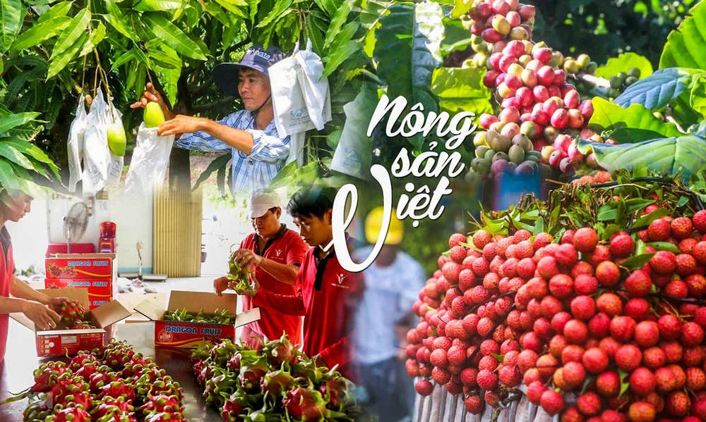 Rất nhiều mặt hàng nông sản Việt Nam có mặt khắp thế giới, nhưng để mang thương hiệu Việt đúng nghĩa của DN Việt lại không nhiều.