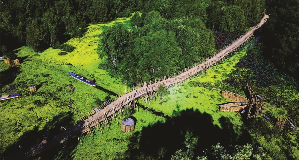  Cầu Tre dài kỷ lục ở rừng tràm Trà Sư - An Giang. 